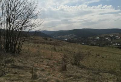 Spațiu comercial, în Luncani