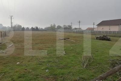 Teren de 3300 mp, în Vințu de Jos