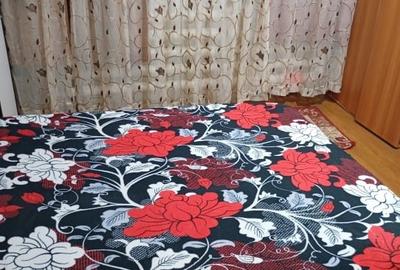 Proprietar vand garsoniera 17 mp, zona UMT str Babadag nr 2 Timisoara - 4