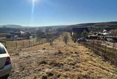 Teren intravilan pentru casa 2400 mp front 16ml Radaia sub pretul pietei - 3