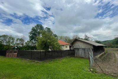 Casă cu 2 camere în Alimpești - 5