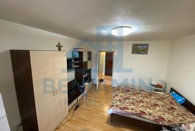 Garsonieră semidecomandată în Brazda lui Novac