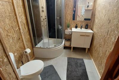 Cabana cu mansarda - 1