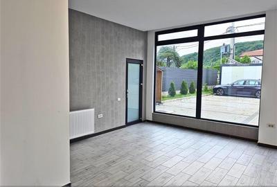 SHOWROOM - LOCATIE PREMIUM, DN 7 - GORANU - 8