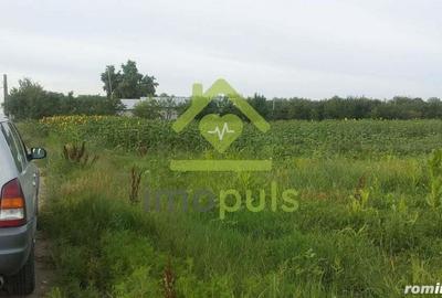 ? Teren Giurgiu, sat. Podisor, com. Bucsani? - 1