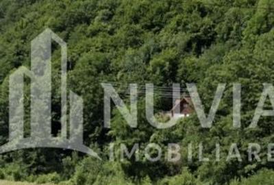 Spațiu comercial, în Căpâlna