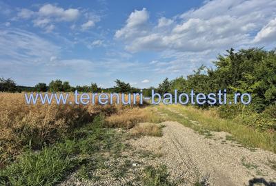 Teren ieftin la liziera padurii Balotesti, 350mp - 28