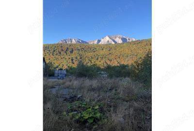 De vanzare teren intravilan AZUGA - 4