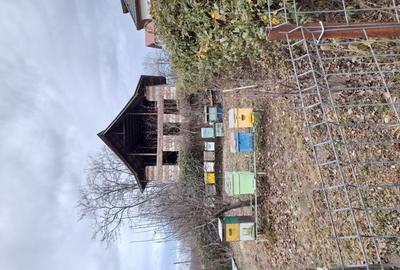 Vand constructie in zona montana ,Corbi ,jud Ag.Facilitati,apa curent ,gaze naturale ,asfalt la poar - 8