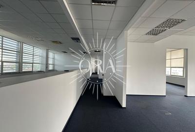 Birou, 462 mp în Mărăști