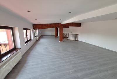 Casa individuala, ideala sediu firma Rahova- Teius - 19