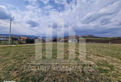 Spațiu comercial, în Ighiu - 2