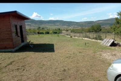 Teren de 2177 mp, în Crainimăt - 3