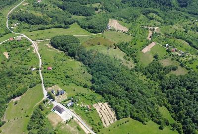 Teren agricol intravilan de 12700 mp, în Codru Butesii - 4