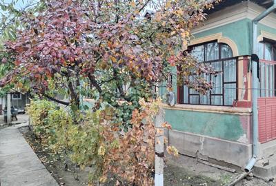 Casa cu teren -  central Segarcea - 1