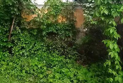 Casă cu 2 camere cu Teren 2200 Mp în Vadu Crișului - 7