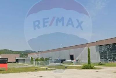 Teren de 2600 mp, în Tăuții-Măgherăuș - 6