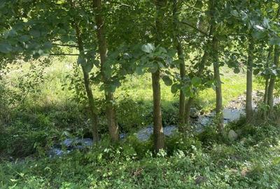 Casa de vanzare+teren - 10