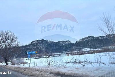 Teren de 17250 mp, în Moșna - 8