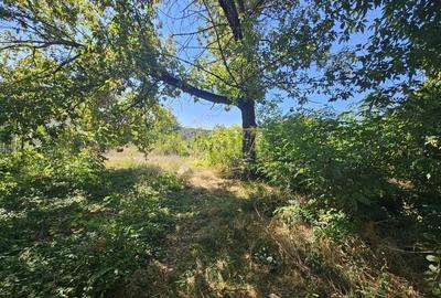 Teren de 6478 mp, în Central - 2