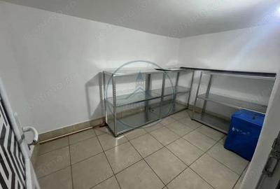 Garsoniera cu spa?iu generos la demisol loca?ie centrala - 8