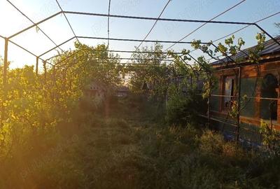 Casă în Smârdan - 1