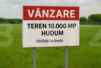 Teren de 10000 mp, în Curtești - 1