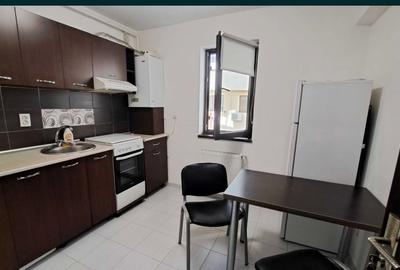 Inchiriere ap 2 camere Berceni- Family Residence - 6