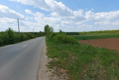 Oportunitate investitie,Balteni, Scrovistea-teren intravilan, la padure, 35244mp - 7
