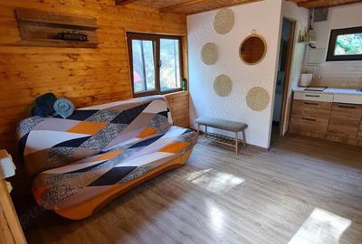 Vand Cabana cu ciubar (Fenes jud Alba) - 6