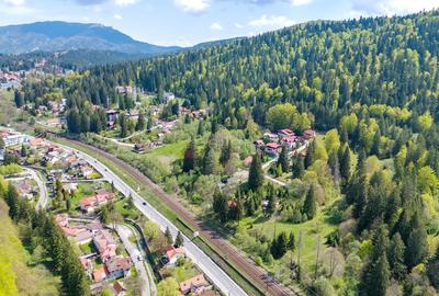 Duplex in mijlocul naturii - 29