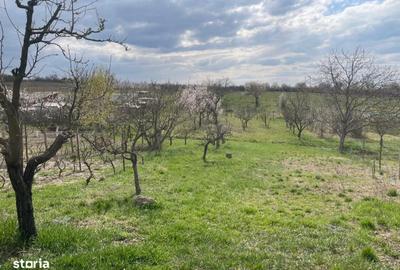 Casă cu 2 camere în Săldăbagiu de Munte - 3
