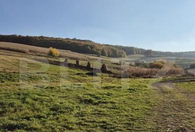 Proprietate de vanzare in Bardesti cu 1900 mp teren - 10