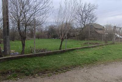 Teren de 6000 mp, în Păunești - 3