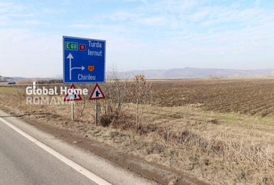 Teren agricol intravilan de 25000 mp, în Exterior Sud - 1