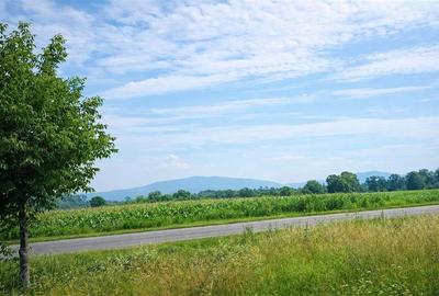 Teren Construcții intravilan de 800 mp, în Bod - 3