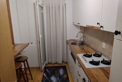 Apartament cu 2 camere decomandat în Valea Lupului - 13