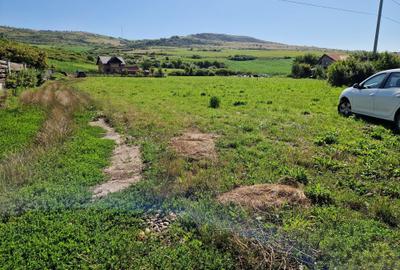 Teren de 5000 mp, în Sântana de Mureș - 2