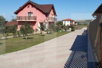 Casa la cheie, 220 mp utili, 973 mp teren, Jucu Casa la cheie, 220 mp utili, 973 mp teren, Jucu - 4