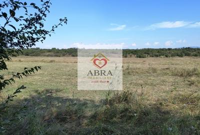 Teren Construcții intravilan de 7500 mp, în Sud-Est - 3