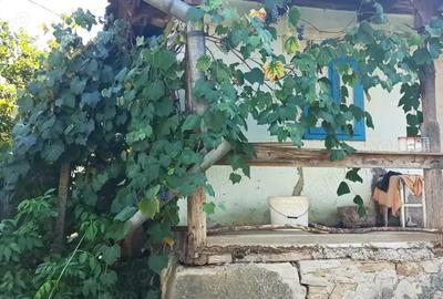 Casa de vanzare in Ocni?a - 3
