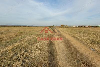 Teren intravilan in Baicoi zona targului--10.000mp--5e - 8