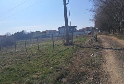 Teren Construcții intravilan de 1818 mp, în Palazu Mare - 3