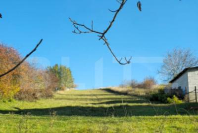 Teren de 2460 mp, în Burdujeni - 4