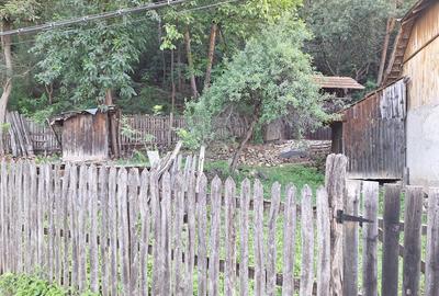 Vinzare proprietate in Catina jud.Buzau - 2