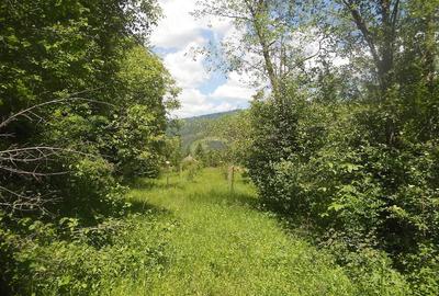 Teren de 10000 mp, în Central - 10