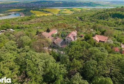 Casă cu 4 camere cu Teren 1425 Mp în Podgoria - 15