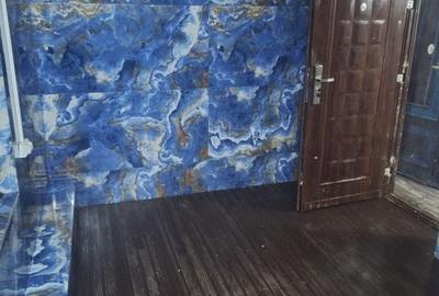 De Vanzare Casa 7 Camere Piata Operei - Plevnei - 21