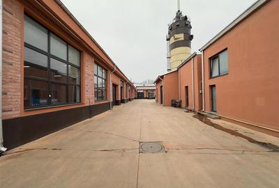 Spațiu industrial, de 193 mp, în Nicolina - 17