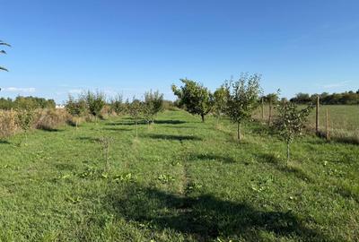 Casă cu 3 camere cu Teren 2500 Mp în Rușeni - 1